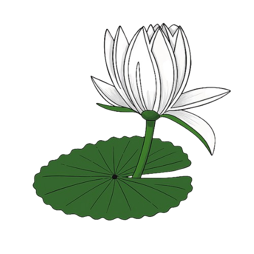 shapla-koli Logo